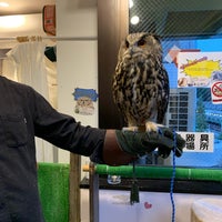 Photo taken at Owl Village by Casey on 10/21/2019