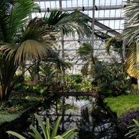 Photo taken at Garfield Park Conservatory by Anne M. on 3/1/2020