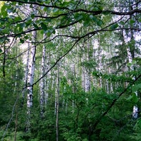 Photo taken at Национальный парк «Нижняя Кама» by Игорь on 5/24/2014