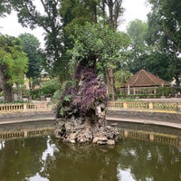 Photo taken at Botanical Gardens by Nam Nắn Nót on 2/5/2024