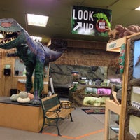 Photo taken at The Reptile Zoo by Roxanne R. on 10/29/2015