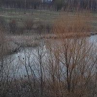 Photo taken at Мышка by Elena P. on 4/12/2018