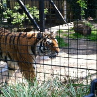 Photo taken at Brandywine Zoo by Aly B. on 4/24/2013