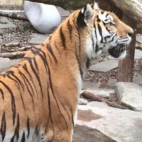 Foto scattata a Binghamton Zoo at Ross Park da Catherine W. il 5/16/2015
