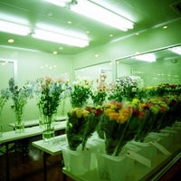 Naniwa Flower Auction なにわ花いちば 鶴見区 茨田大宮2 7 70