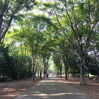 壬生町総合公園 Park In 壬生町