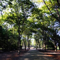 壬生町総合公園 Park In 壬生町 壬生町総合公園 Park In 壬生町