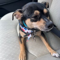 petsmart metrocenter