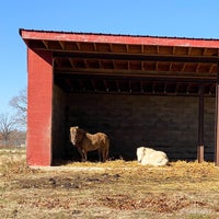 Wild Animal Safari - 9 tips from 422 visitors