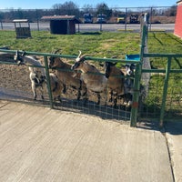 wild safari near me wild safari near me
