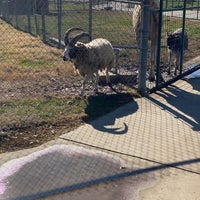 wild safari near me wild safari near me