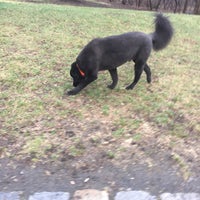 Photo taken at Central Park Great Hill Dog Run by Doodle H. on 3/11/2016