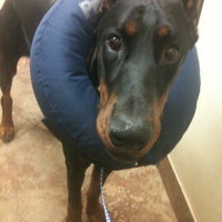Das Foto wurde bei Animal Medical &amp;amp; Surgical Hospital von Michelle R. am 12/12/2012 aufgenommen