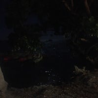 Photo taken at Bioluminescent Bay @ Fajardo by Tere D. on 1/3/2018