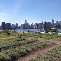 Photo taken at Eagle Street Rooftop Farms by A C. on 6/8/2014