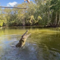 Photo taken at Hartley&amp;#39;s Crocodile Adventures by Nee M. on 5/10/2023