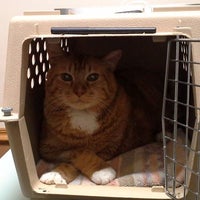 Das Foto wurde bei Cat Care Professionals von Cat Care Professionals am 12/31/2014 aufgenommen