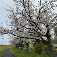 Photo taken at 江戸川河川敷 by NK on 4/8/2024