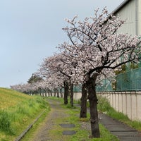 Photo taken at 江戸川河川敷 by NK on 4/8/2024