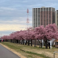 Photo taken at 江戸川河川敷 by NK on 3/8/2024