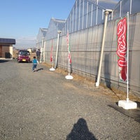 ストロベリーフィールズナカヤマ 1 Tip From 12 Visitors