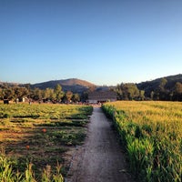 Mountain Valley Ranch Pumpkin Patch Farm