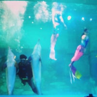 Photo taken at Underwater Theater (Ocean Dream Samudra) by Shirley E. on 4/19/2014