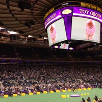 Photo taken at Westminster Kennel Club Dog Show at Piers 92/94 by Helene L. on 2/16/2016