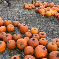 Photo taken at Clancy&amp;#39;s Pumpkin Patch by Emily B. on 10/22/2017