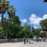 Photo taken at Sacramento Zoo by Vicky T. on 5/27/2019