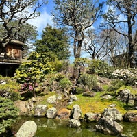 Photo taken at Japanese Tea Garden by Vicky T. on 3/11/2024