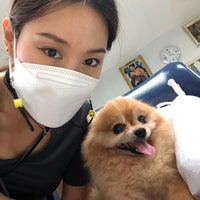 Photo taken at Suwanchard Pet Hospital by Ying 789 P. on 6/23/2021