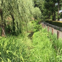 Photo taken at 丸子川親水公園 by Kudo on 7/14/2018