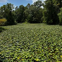 Photo taken at Houston Arboretum &amp;amp; Nature Center by Jason F. on 7/29/2023