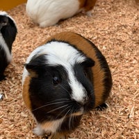 トリアスふれあい動物園 Zoo In 久山町