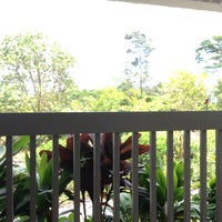 Hilo Coffee Mill - Coffee Shop in Mountain View