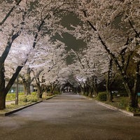 Photo taken at Fuchunomori Park by はる on 4/8/2024