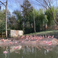 Photo taken at Zoo Atlanta by Ellie on 1/15/2024