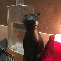 Chat Noir Chat Blanc Nice Provence Alpes Cote D Azur Chat Noir Chat Blanc Nice Provence Alpes Cote D Azur