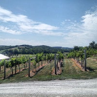 8/5/2013 tarihinde CeeJay L.ziyaretçi tarafından Madison County Winery'de çekilen fotoğraf