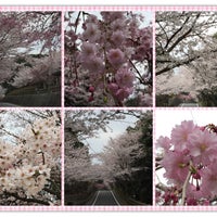 桑山公園 Other Great Outdoors In 山口県