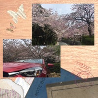 桑山公園 Other Great Outdoors In 山口県