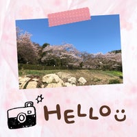 桑山公園 Other Great Outdoors In 山口県 桑山公園 Other Great Outdoors In 山口県