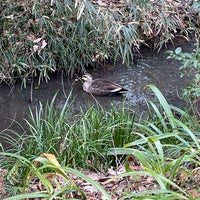 Photo taken at 茅ヶ崎公園 by rikugaku on 1/29/2023