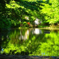 Photo taken at 茅ヶ崎公園 by rikugaku on 7/16/2023