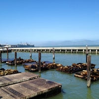 Photo taken at Sea Lions by Carla R. on 4/12/2013