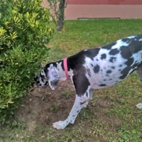 Χρυσούπολη (Chrysoupoli) County