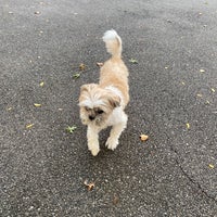 Photo taken at Dewitt Clinton Park Dog Run by Daniel K. on 10/11/2021