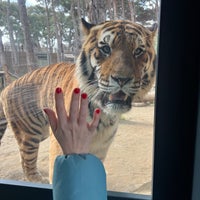 Photo taken at Bakı Zooparkı / Baku Zoo by Максим А. on 2/25/2024
