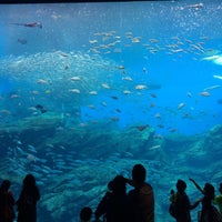 Photo taken at Sendai Umino-Mori Aquarium by Kuma on 9/10/2015